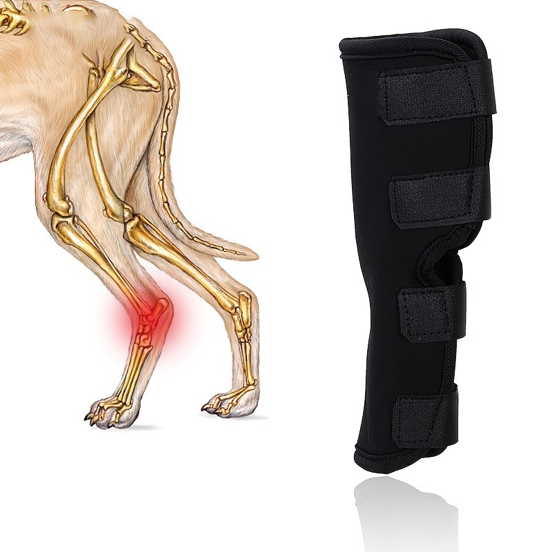 3-1690284518234-bd6ab1d385f446bf83de75d778ac6155-goods Neoprene Dog Compression Brace Sleeve with Straps for Heals and Prevents Injuries and Sprains Helps Arthritis(JD003DC) - Image 1