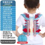 Adjustable Professional Protection Lightweight Breathable Eco-Friendly Polyester Cotton Back Support Posture Corrector Belt Hook(JD123P) - Image 7