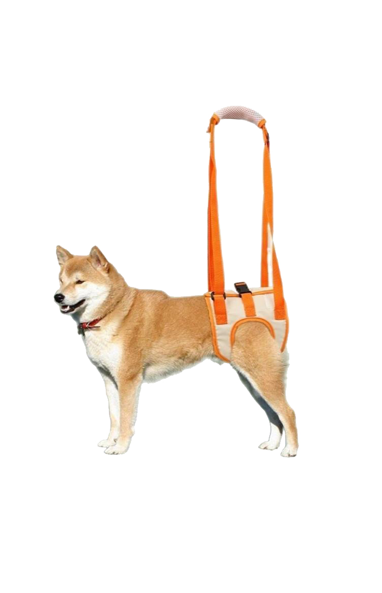 12 Rear Leg Assist Harness Senior Older Dogs Disabled Dogs Rehabilitation Exercise Harnesses Upstairs Assistance Harnesses(JD007DC) - Image 1