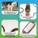 Puppy Harness Backpack With Handle Leash Portable Pet Carrier Box Outdoor Walking Travel Supplies For Cats Small Dogs（JD011DC） - Image 4