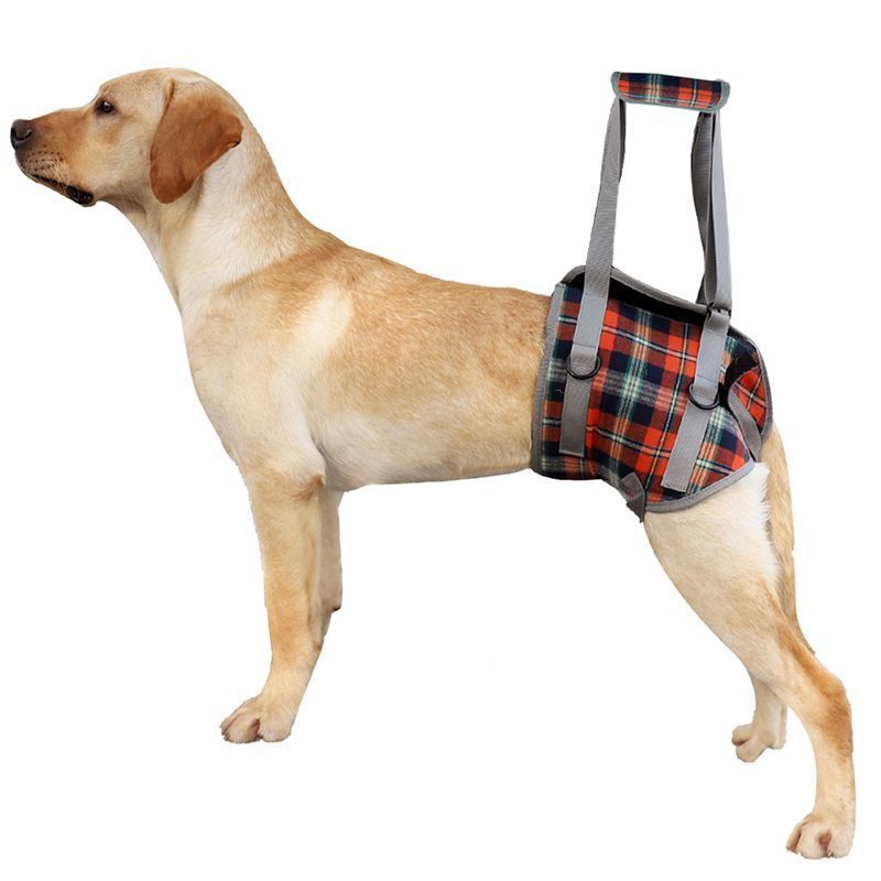 主图05 Adjustable Portable Polyester Dog Lift Harness Breathable Plaid Elderly Disable Rehabilitation Pet Leg Support for Front Back(JD006DC) - Image 1