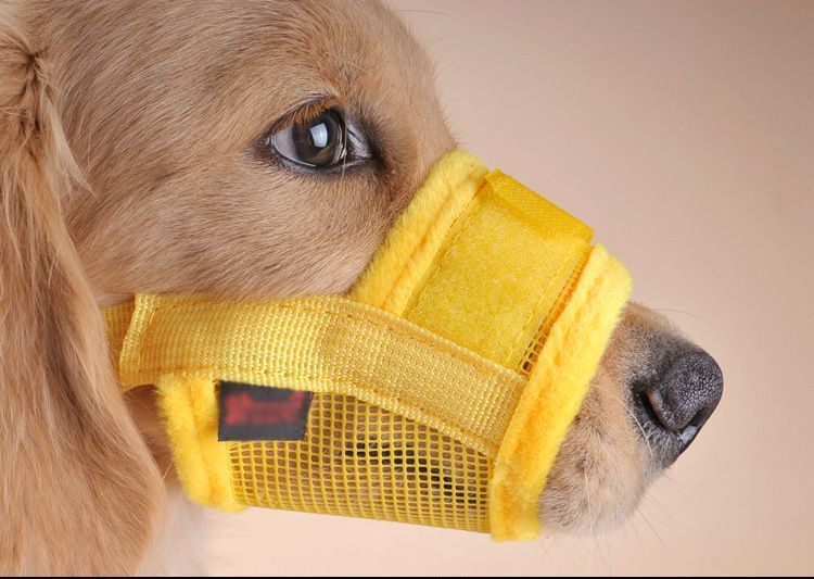 详情图13 Nylon Mesh Dog Muzzle with Adjustable Straps Breathable Design for Outdoor Use(JD009DC) - Image 1